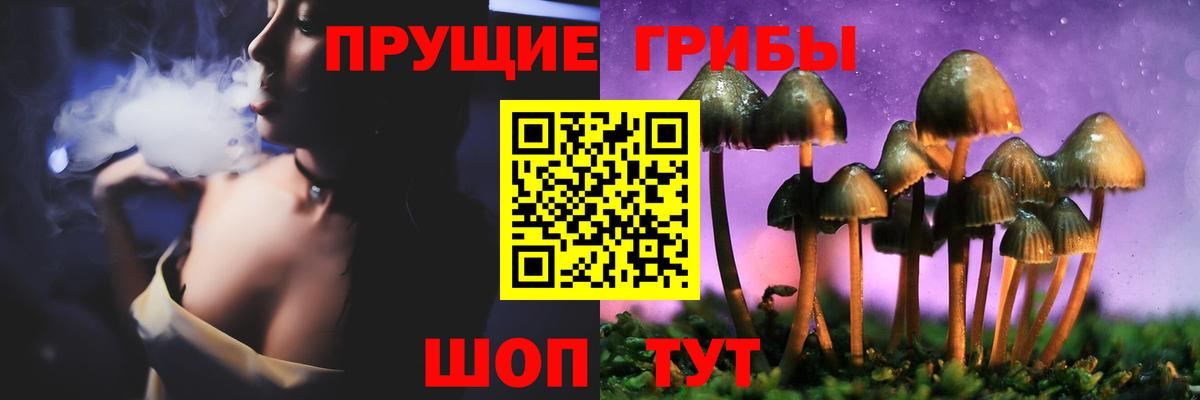 Конаково  Галлюциногенные грибы прущие грибы  что такое наркотик  Вход с VPN 